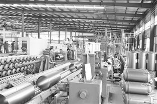 創新驅動，綠色未來 探訪邯鄲工業園區飛翔新能源科技股份有限公司